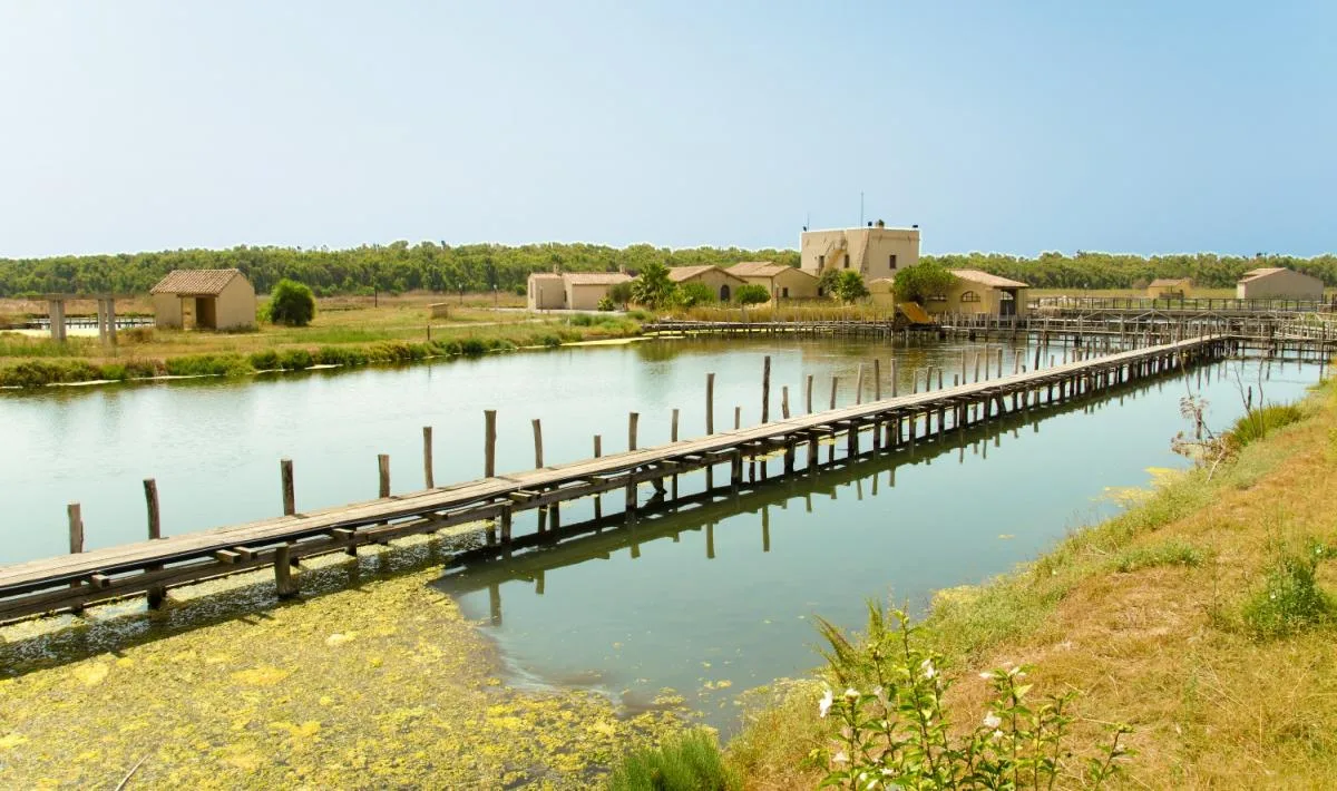 Stagno di Cabras