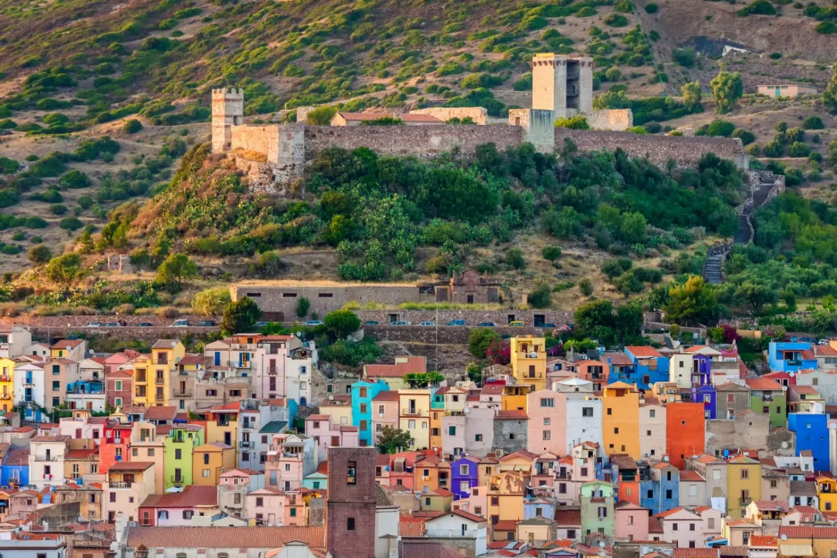 Bosa colorata
