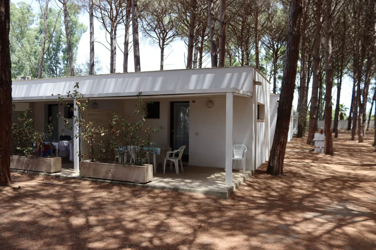 Monolocale con Cucina