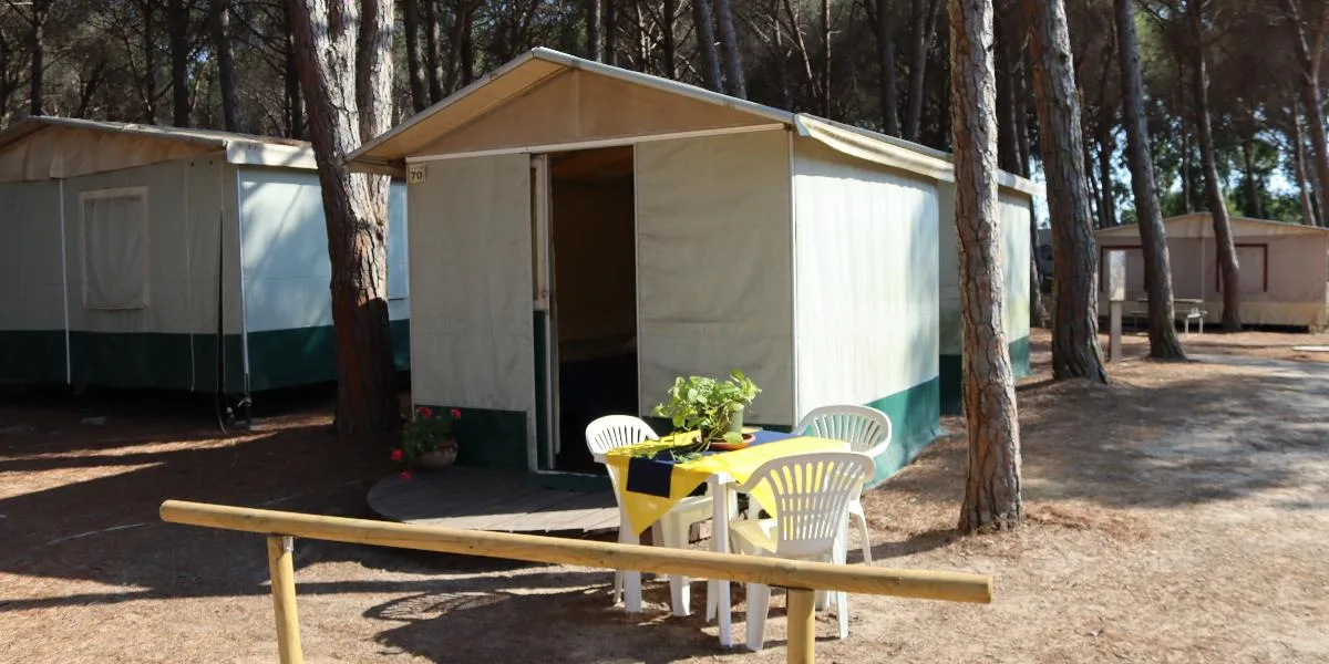 Mini Lodge