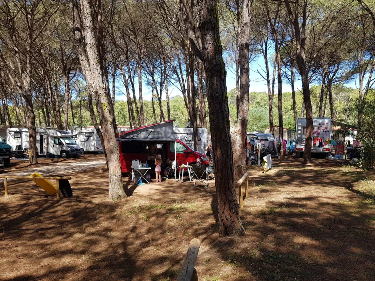 Piazzola Camper — foto 12
