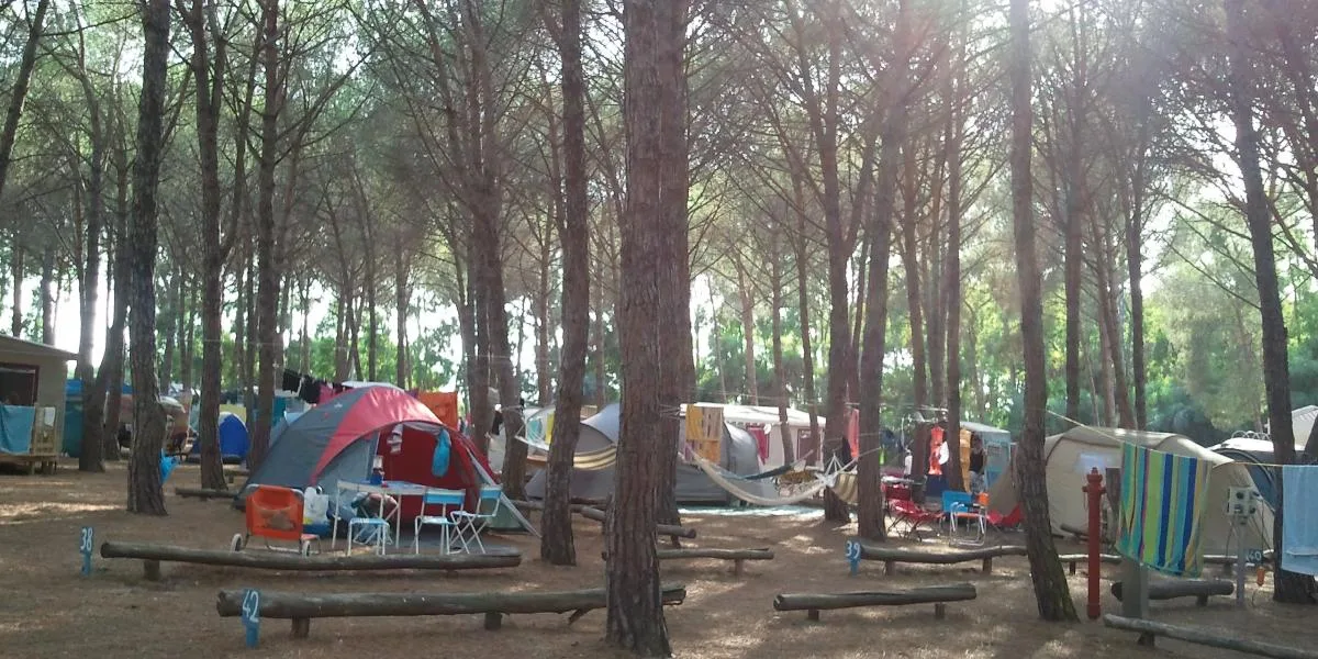 Piazzola Tenda — foto 2