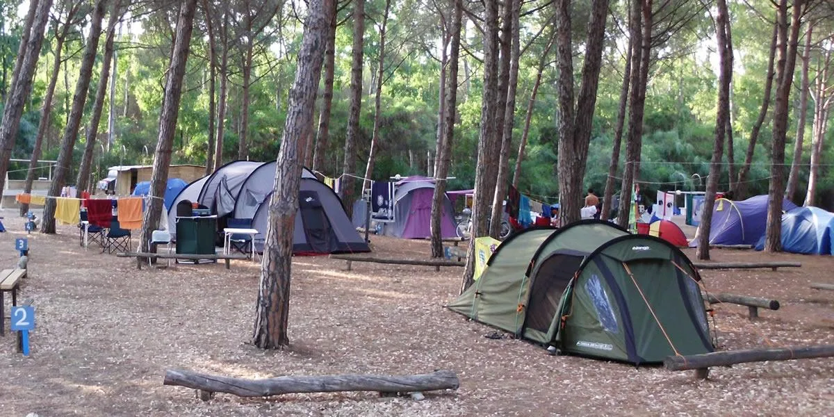 Piazzola Tenda — foto 3